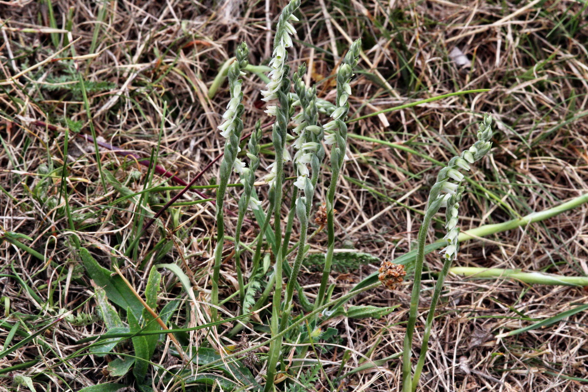 2013_08_31_00029915p_Bildgr��e �ndern