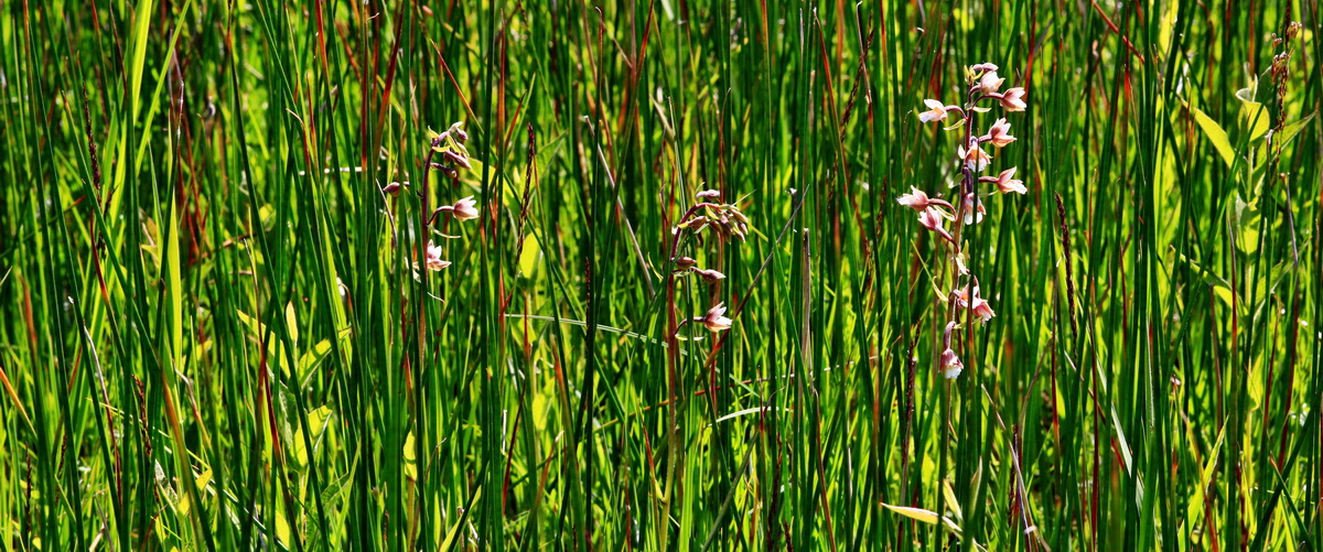 [Group 11]-2013_07_01_00025901_2013_07_01_00025906-2 imagesp_Bildgr��e �ndern