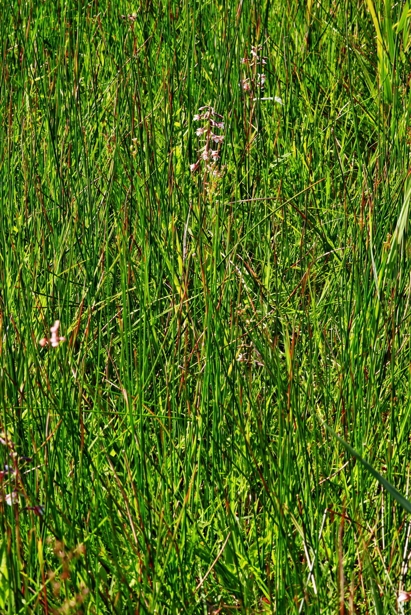 [Group 12]-2013_07_01_00025913_2013_07_01_00025920-3 imagesp_Bildgr��e �ndern