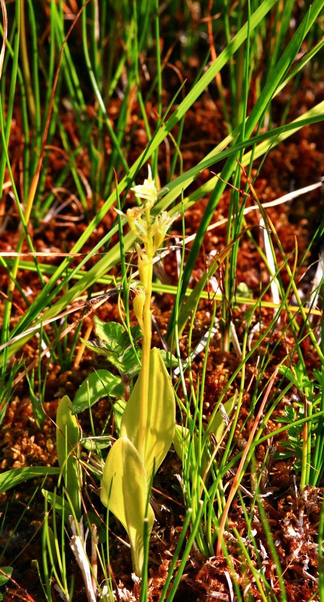 [Group 2]-2013_07_01_00025622_2013_07_01_00025629-2 imagesp_Bildgr��e �ndern