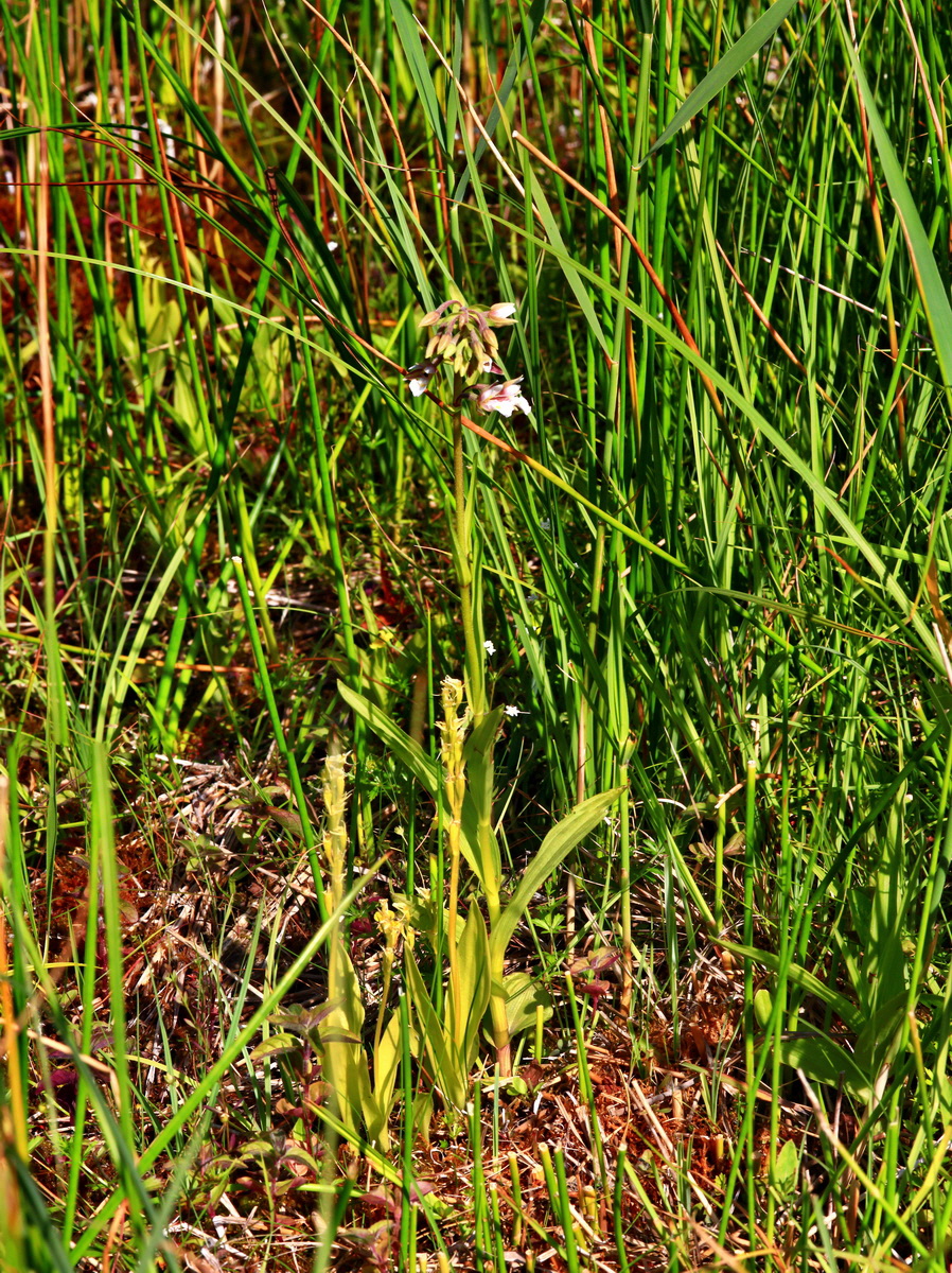 [Group 8]-2013_07_01_00025839_2013_07_01_00025850-3 imagesp_Bildgr��e �ndern