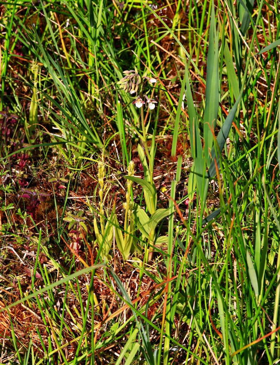 [Group 8]-2013_07_01_00025858_2013_07_01_00025865-3 imagesp_Bildgr��e �ndern