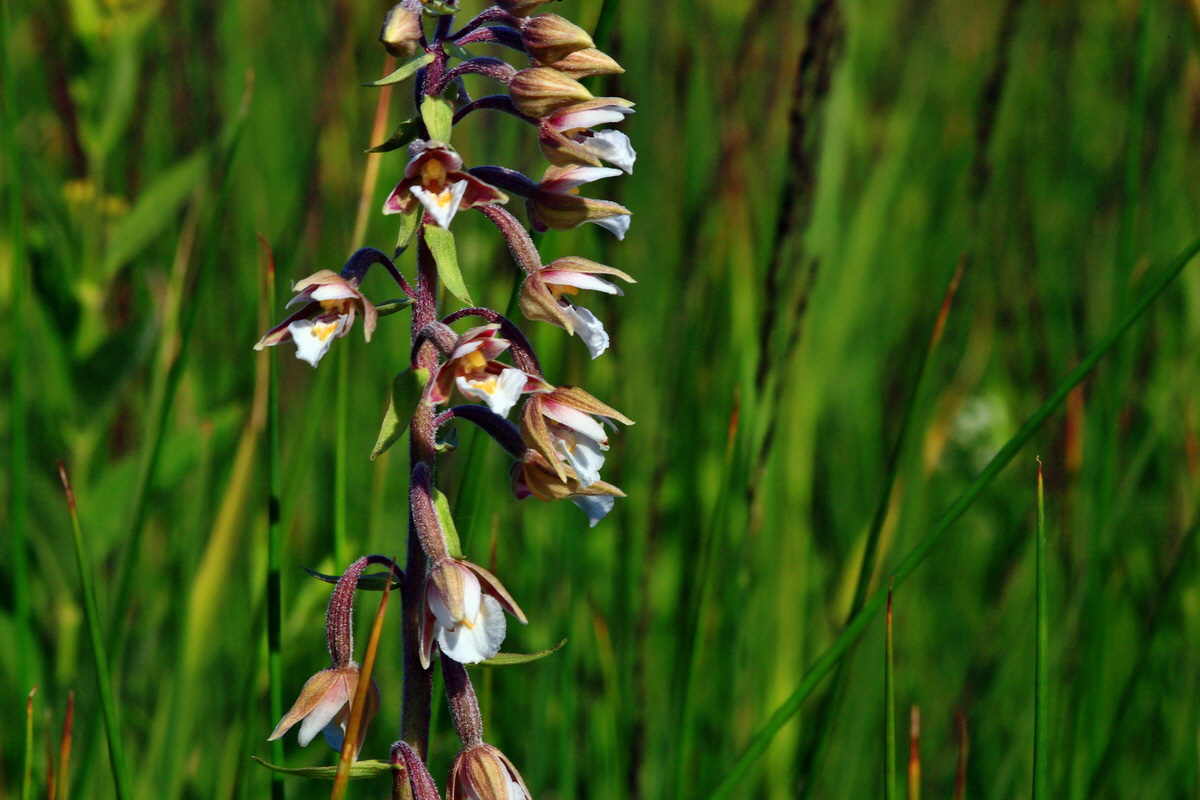 2013_07_01_00025595p_Bildgr��e �ndern