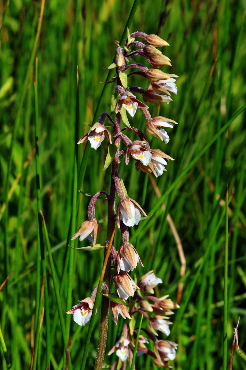 2013_07_01_00025598p_Bildgr��e �ndern