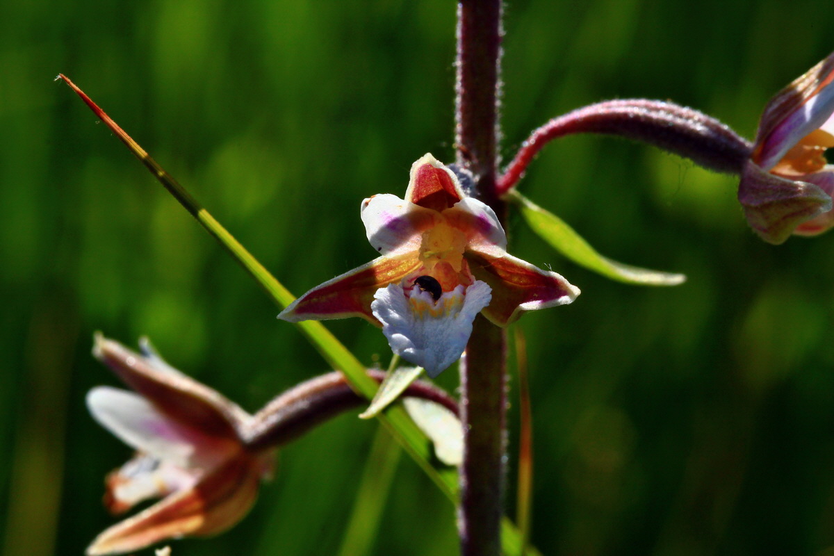 2013_07_01_00025608p_Bildgr��e �ndern