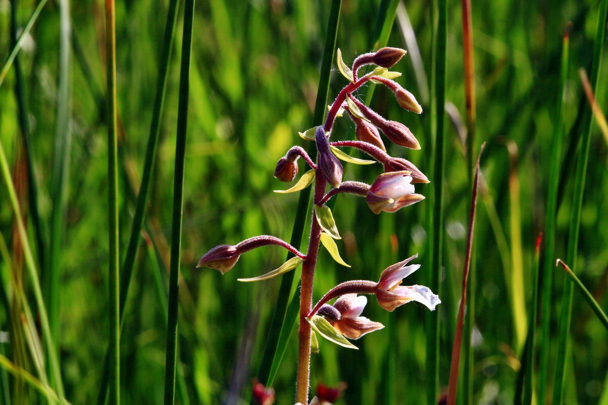 2013_07_01_00025645p_Bildgr��e �ndern