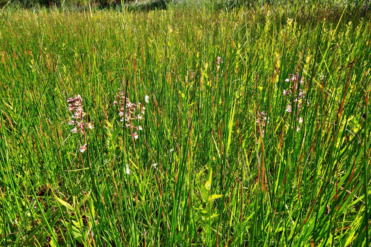 2013_07_01_00025659p_Bildgr��e �ndern