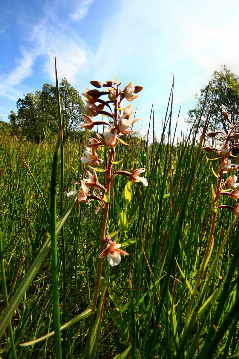 2013_07_01_00025667p_Bildgr��e �ndern