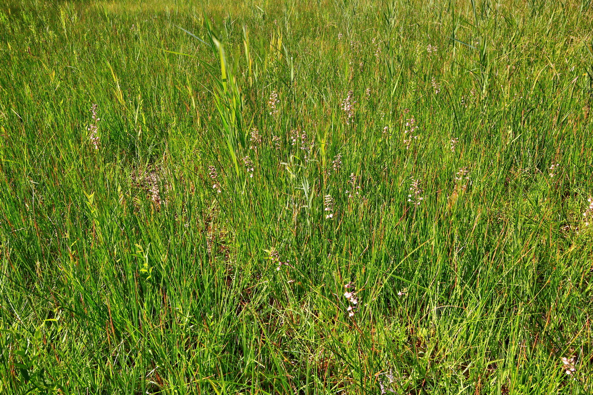 2013_07_01_00025681p_Bildgr��e �ndern