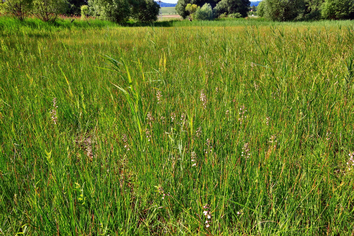 2013_07_01_00025684p_Bildgr��e �ndern