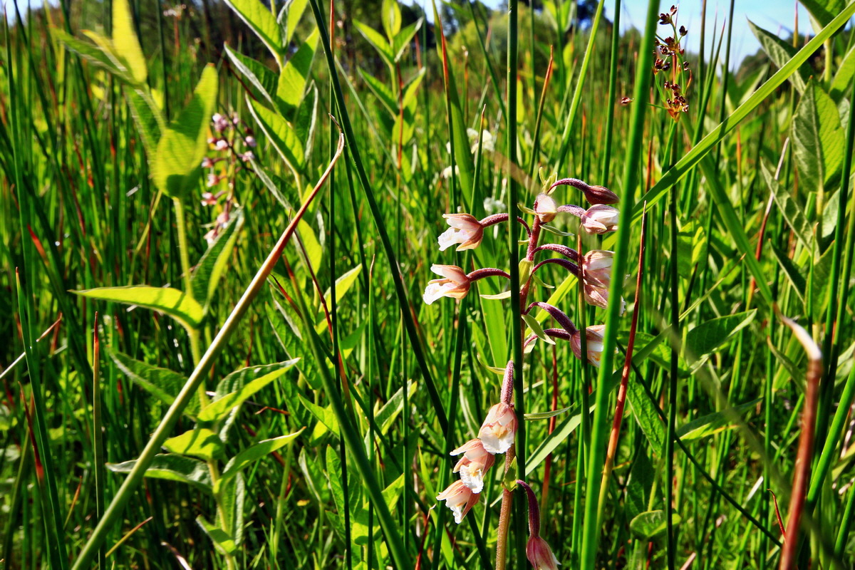 2013_07_01_00025692p_Bildgr��e �ndern