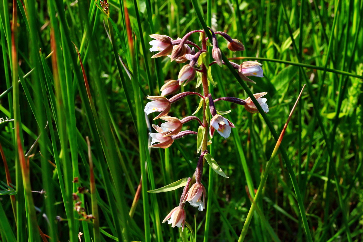 2013_07_01_00025696p_Bildgr��e �ndern