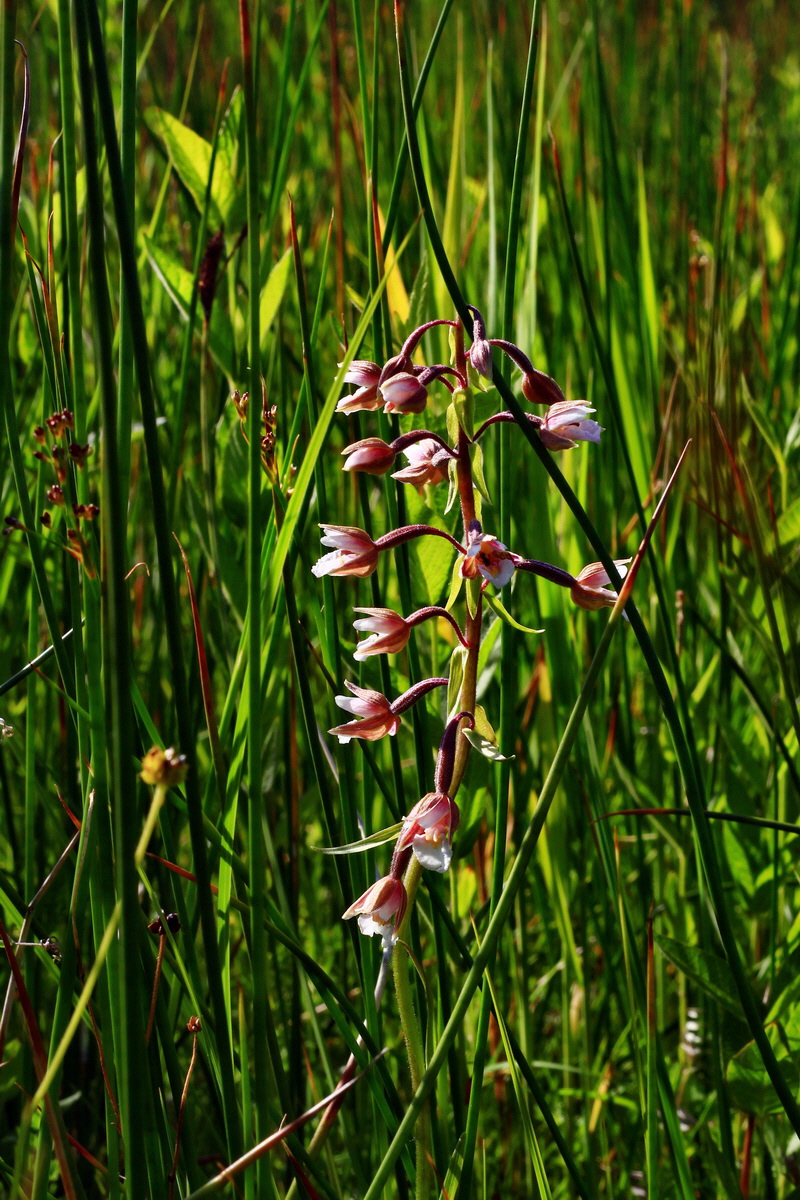 2013_07_01_00025699p_Bildgr��e �ndern