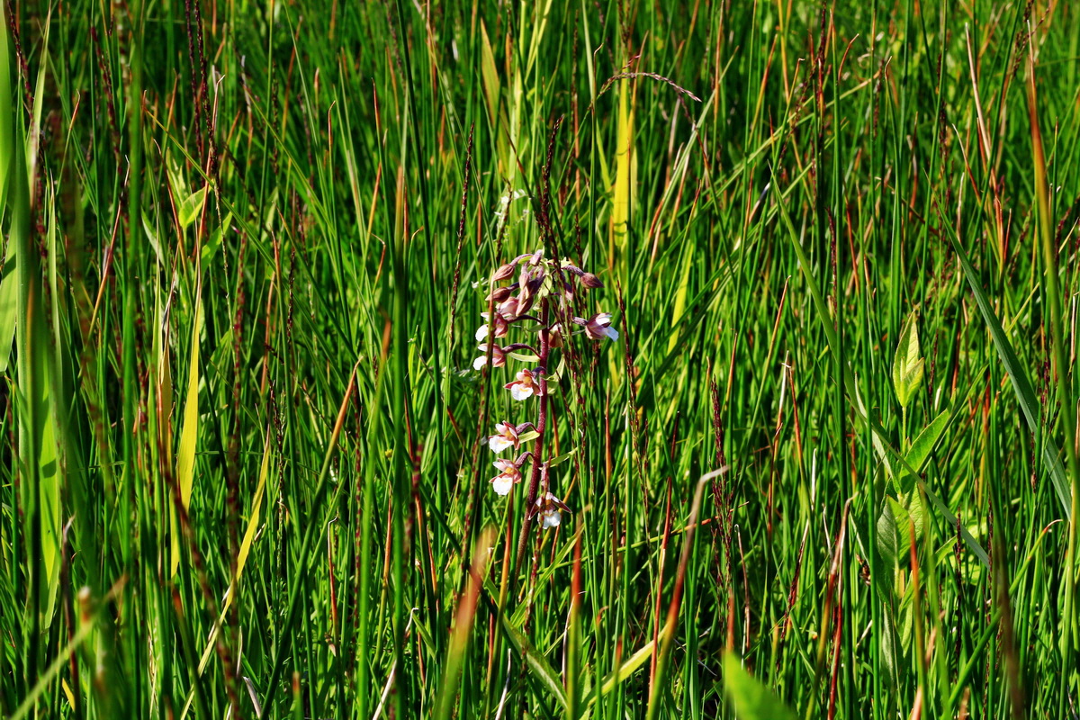 2013_07_01_00025705p_Bildgr��e �ndern