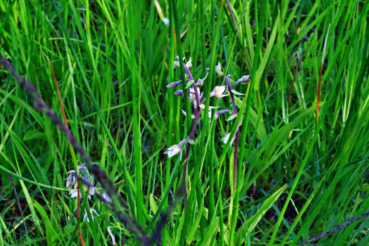 2013_07_01_00025716p_Bildgr��e �ndern