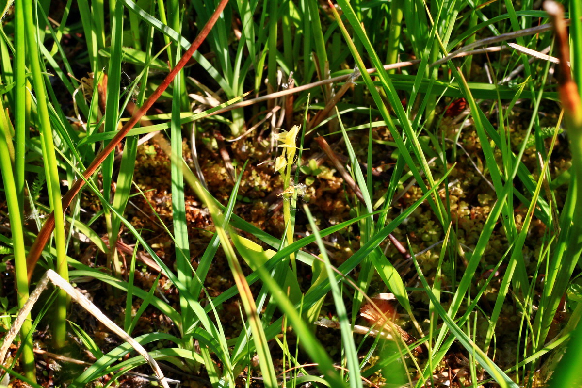 2013_07_01_00025727p_Bildgr��e �ndern