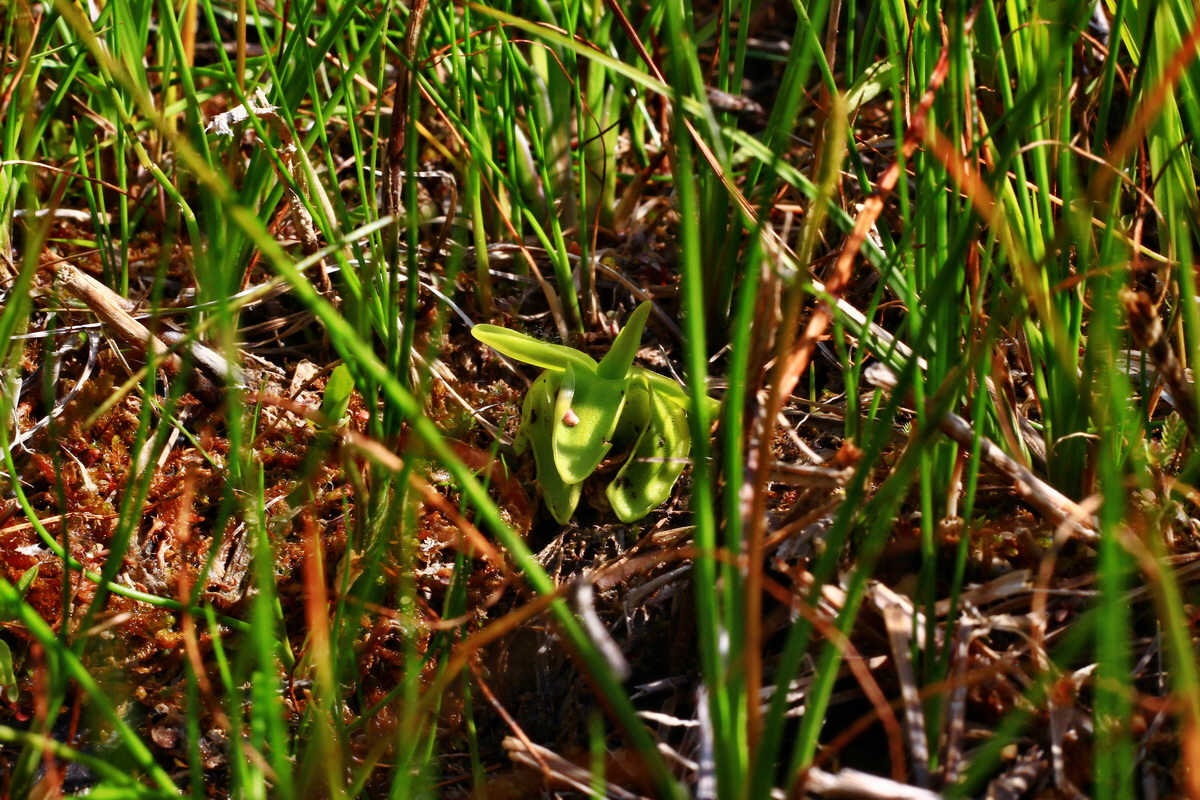 2013_07_01_00025739p_Bildgr��e �ndern