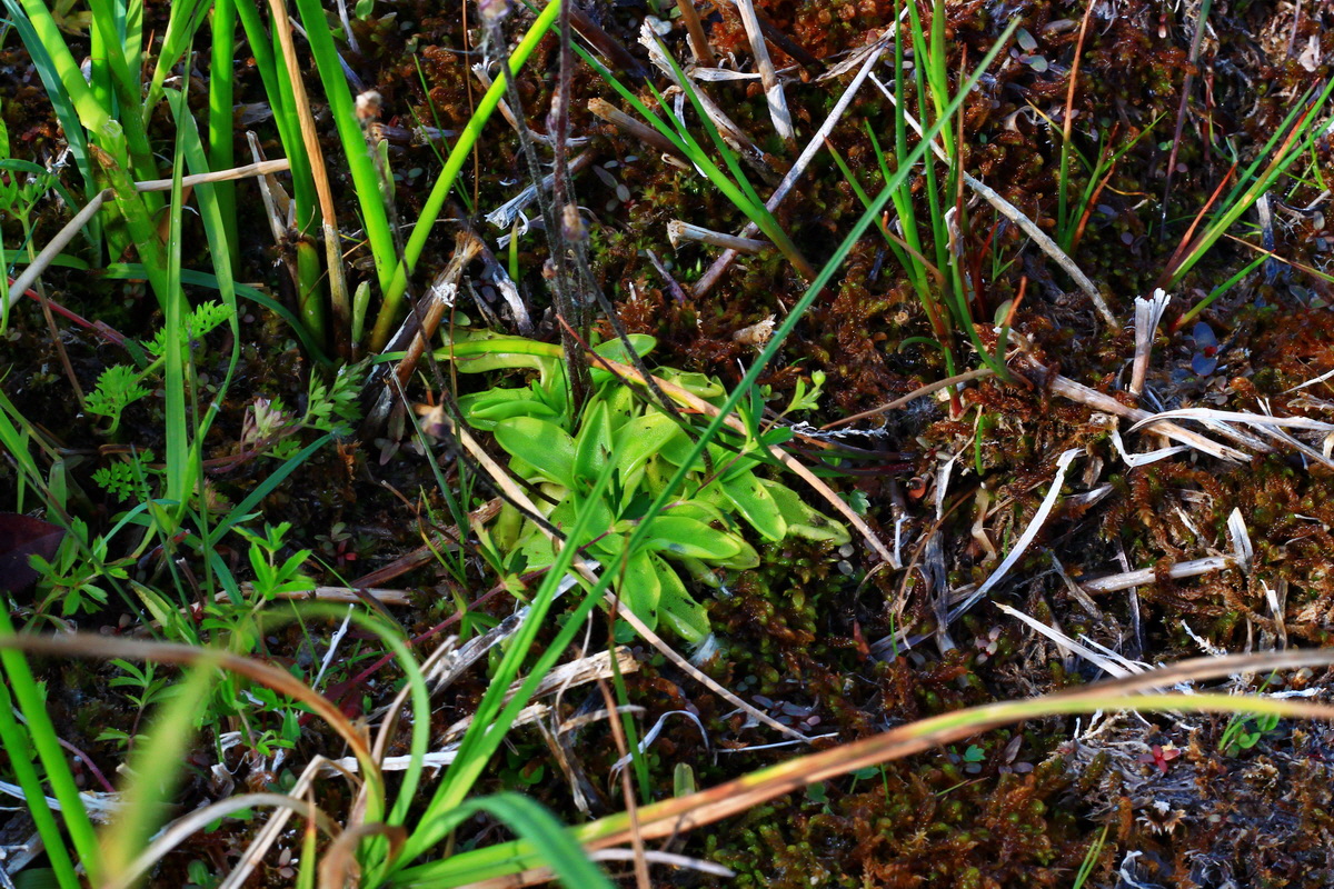 2013_07_01_00025749p_Bildgr��e �ndern