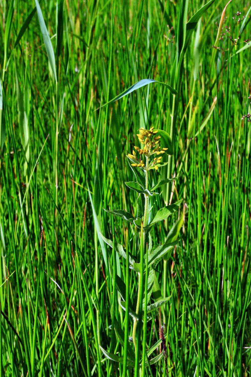 2013_07_01_00025751p_Bildgr��e �ndern