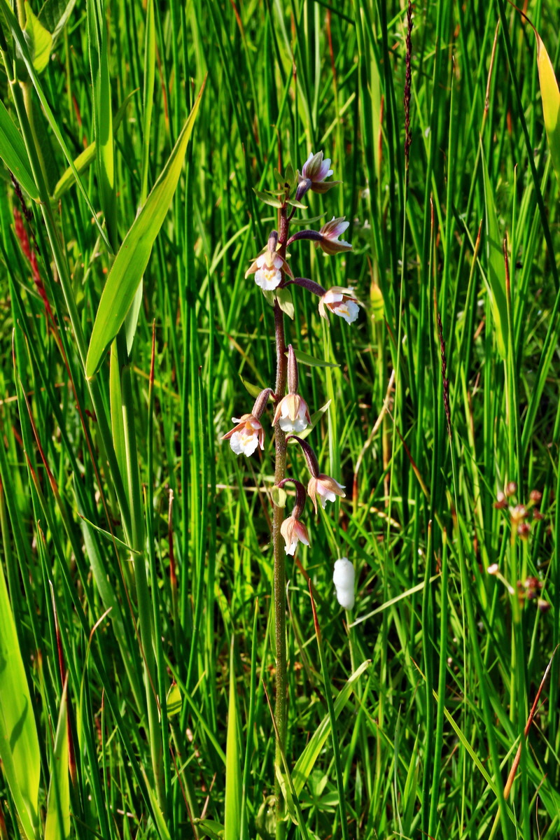 2013_07_01_00025753p_Bildgr��e �ndern