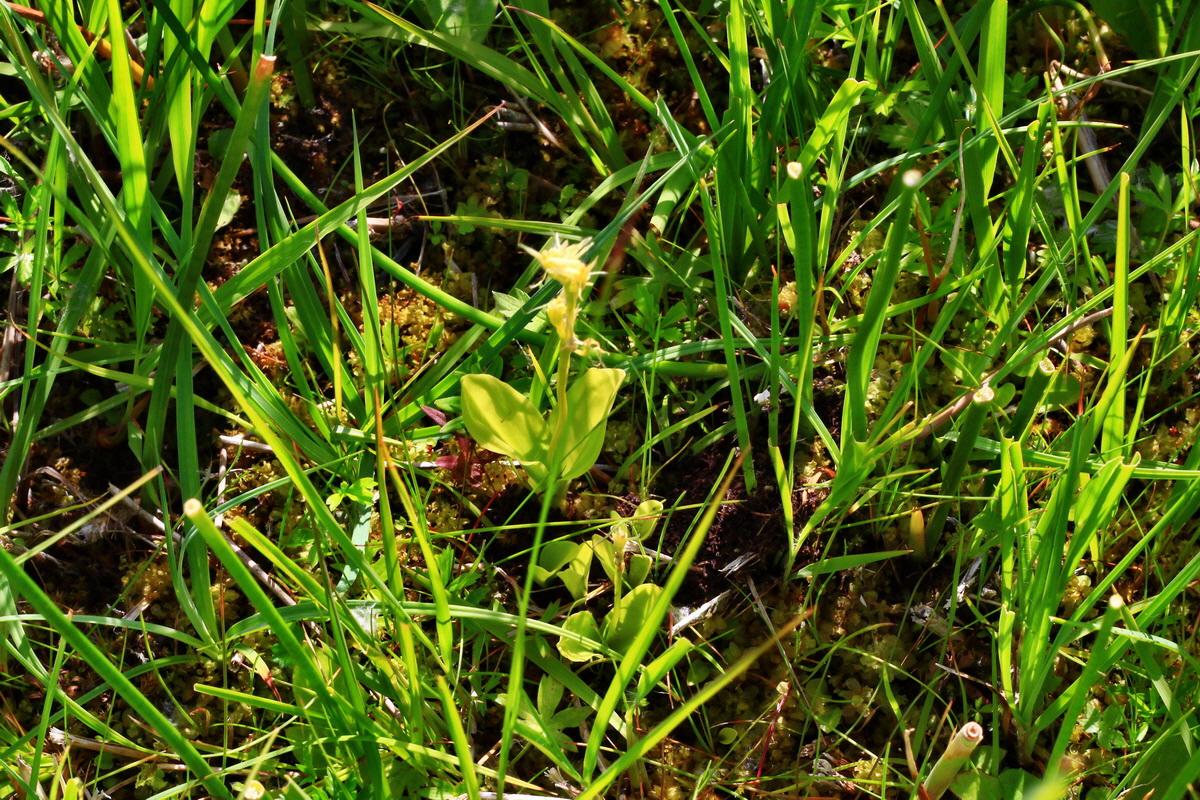 2013_07_01_00025772p_Bildgr��e �ndern