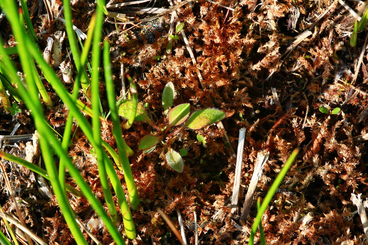 2013_07_01_00025779p_Bildgr��e �ndern