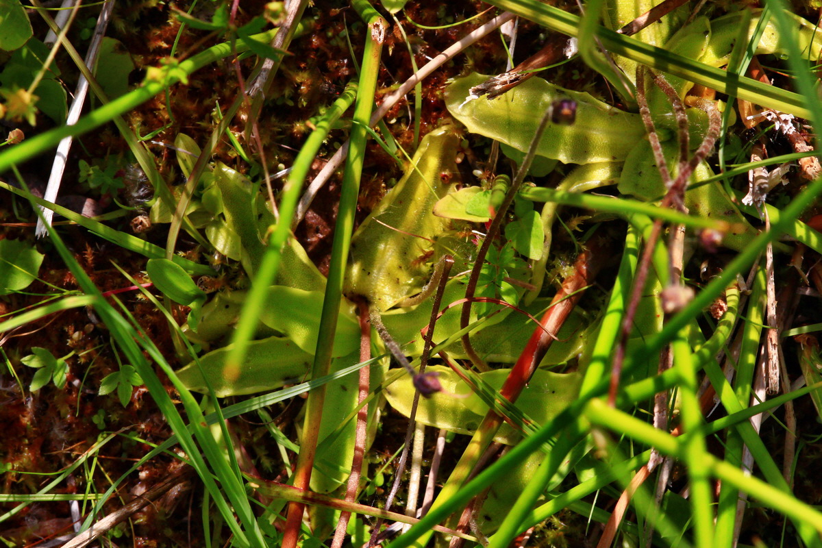 2013_07_01_00025801p_Bildgr��e �ndern