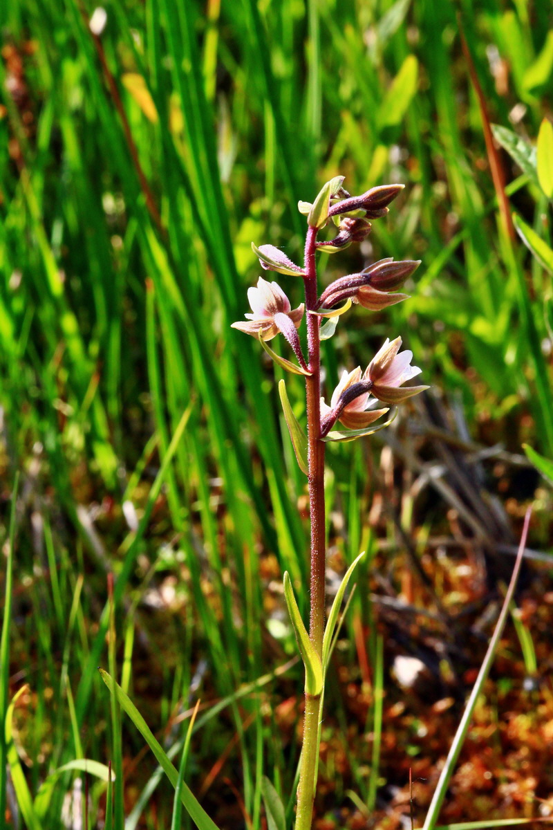 2013_07_01_00025812p_Bildgr��e �ndern