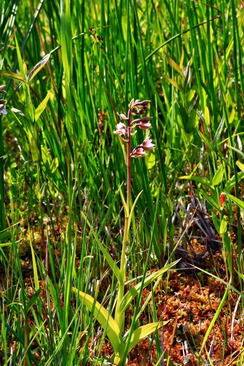 2013_07_01_00025816p_Bildgr��e �ndern