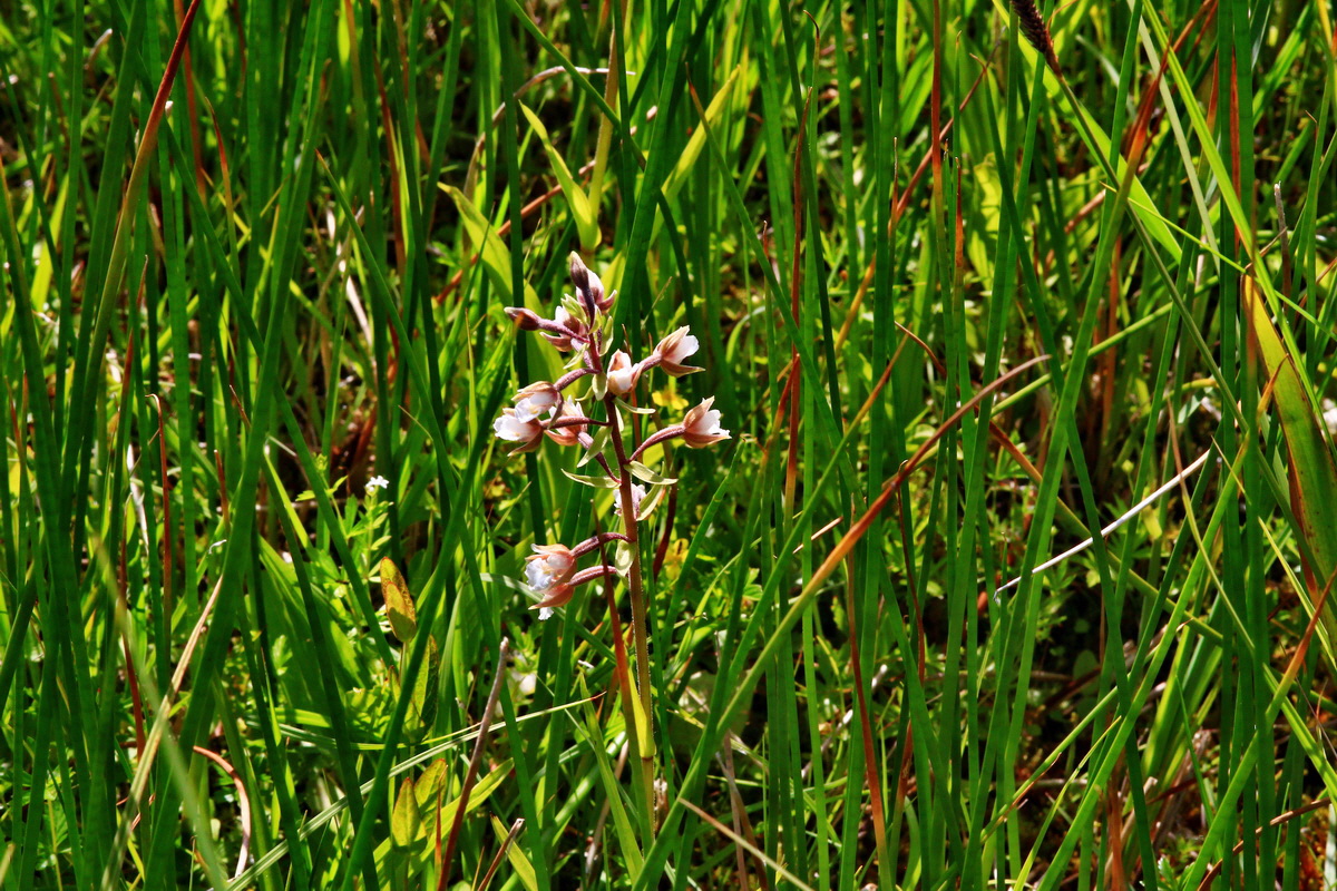 2013_07_01_00025819p_Bildgr��e �ndern