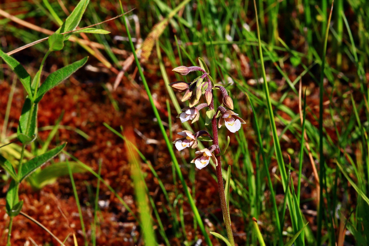 2013_07_01_00025871p_Bildgr��e �ndern