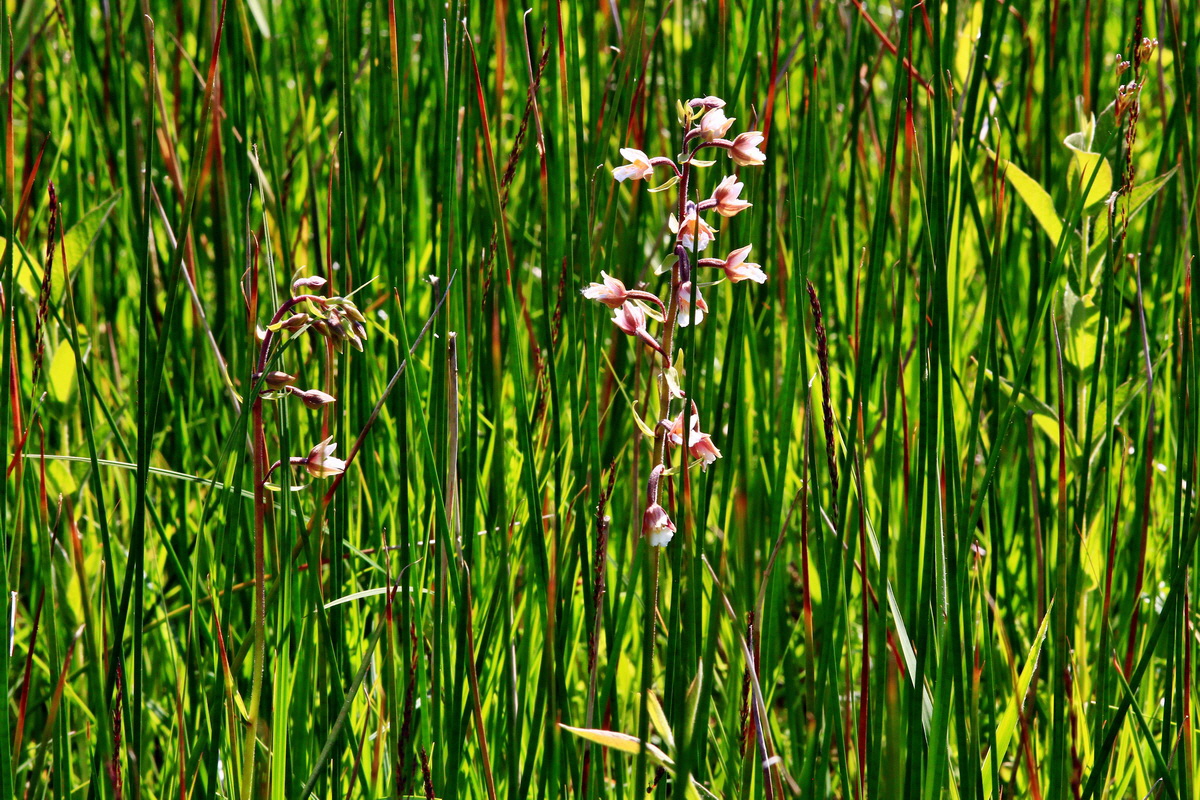 2013_07_01_00025901p_Bildgr��e �ndern