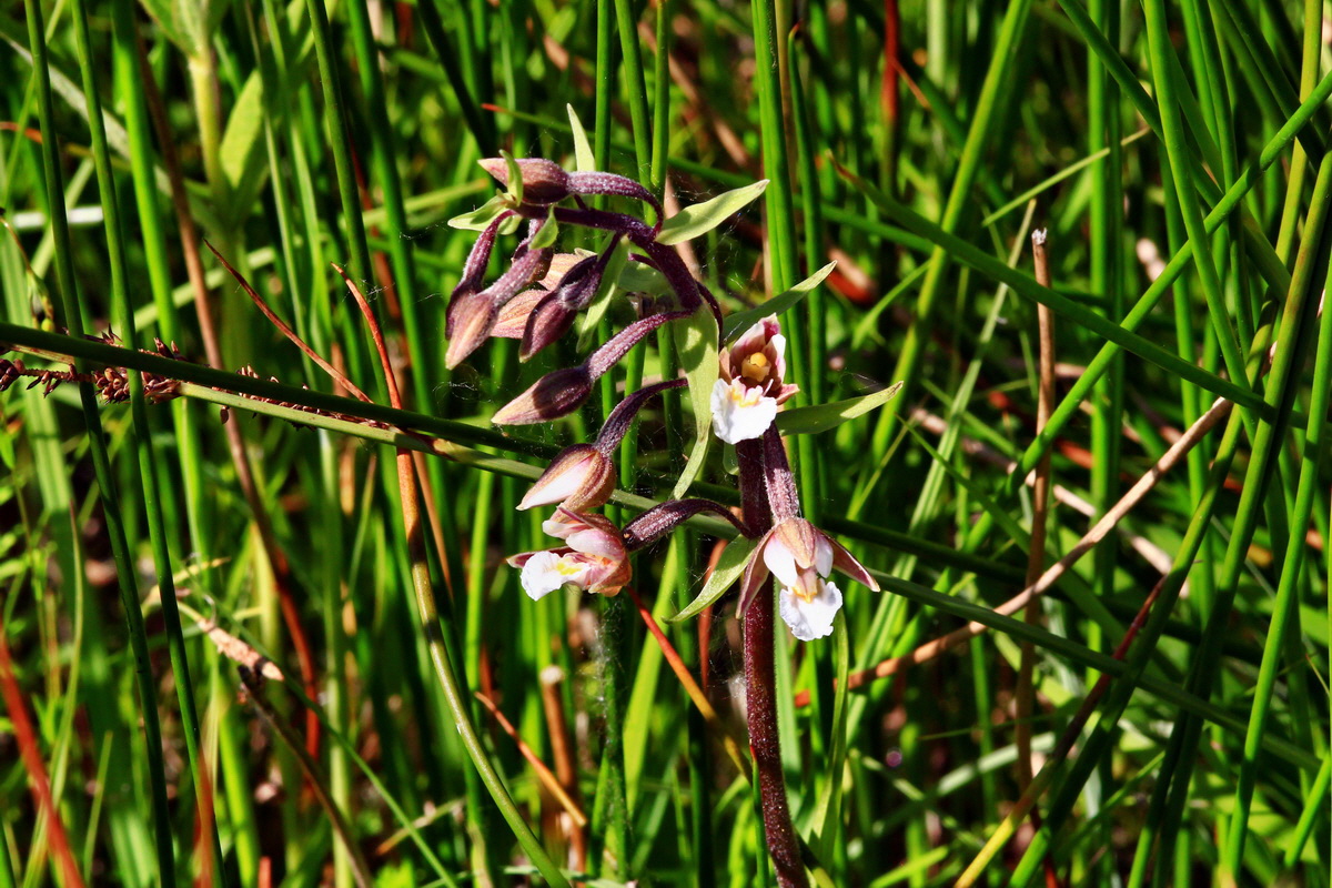 2013_07_01_00025923p_Bildgr��e �ndern