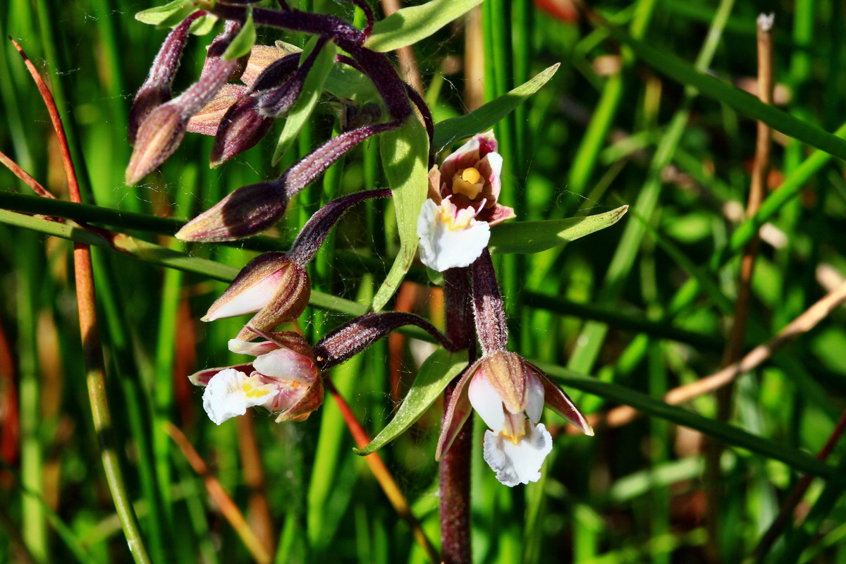 2013_07_01_00025927p_Bildgr��e �ndern