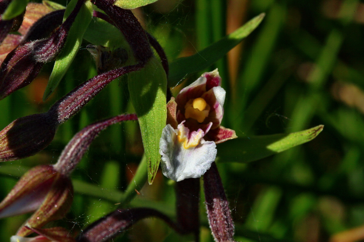 2013_07_01_00025932p_Bildgr��e �ndern