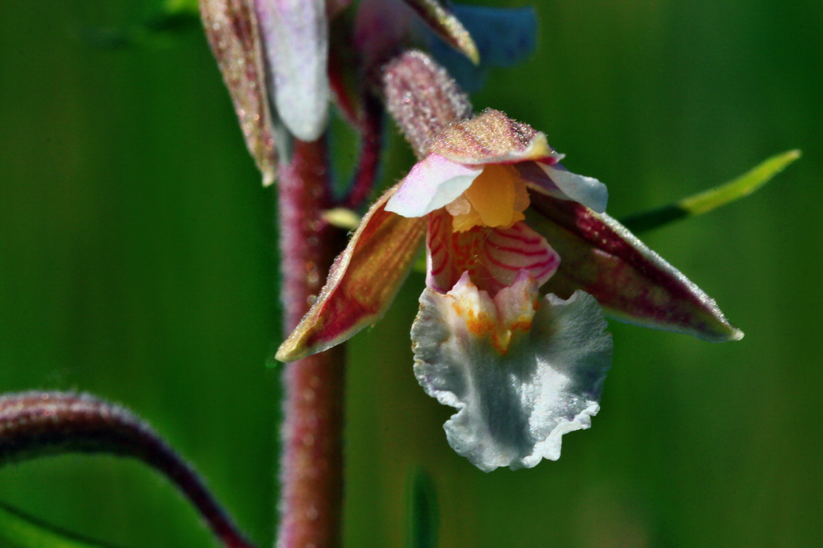 2013_07_01_00025935p_Bildgr��e �ndern