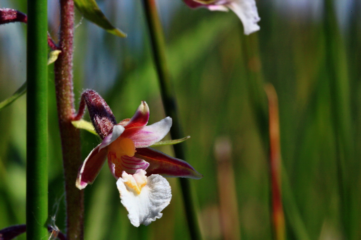 2013_07_01_00025943p_Bildgr��e �ndern