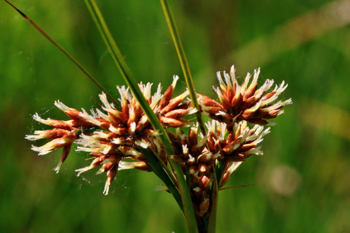 2013_07_01_00025969p_Bildgr��e �ndern