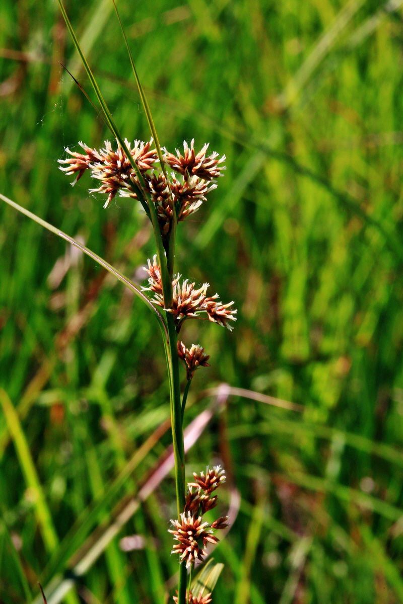 2013_07_01_00025974p_Bildgr��e �ndern