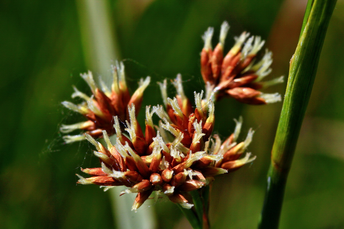 2013_07_01_00025977p_Bildgr��e �ndern