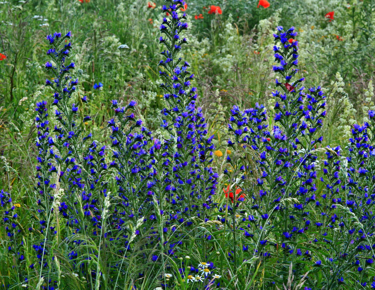 [Group 1]-2013_07_02_00026019_2013_07_02_00026021-2 imagesp_Bildgr��e �ndern