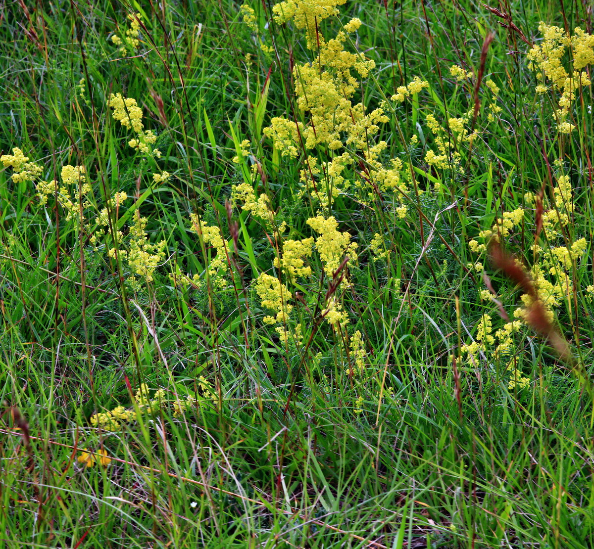 [Group 13]-2013_07_03_00026407_2013_07_03_00026411-2 imagesp_Bildgr��e �ndern