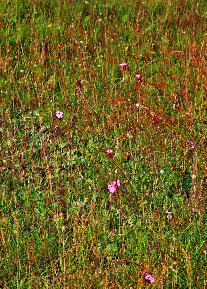 [Group 4]-2013_07_02_00026080_2013_07_02_00026087-2 imagesp_Bildgr��e �ndern