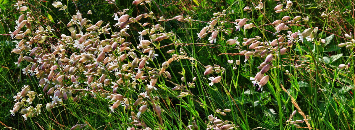 [Group 6]-2013_07_02_00026092_2013_07_02_00026095-2 imagesp_Bildgr��e �ndern