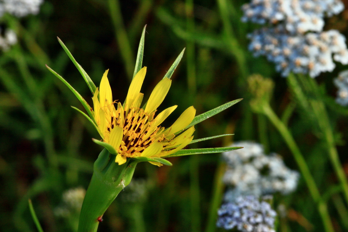 2013_07_02_00026053p_Bildgr��e �ndern