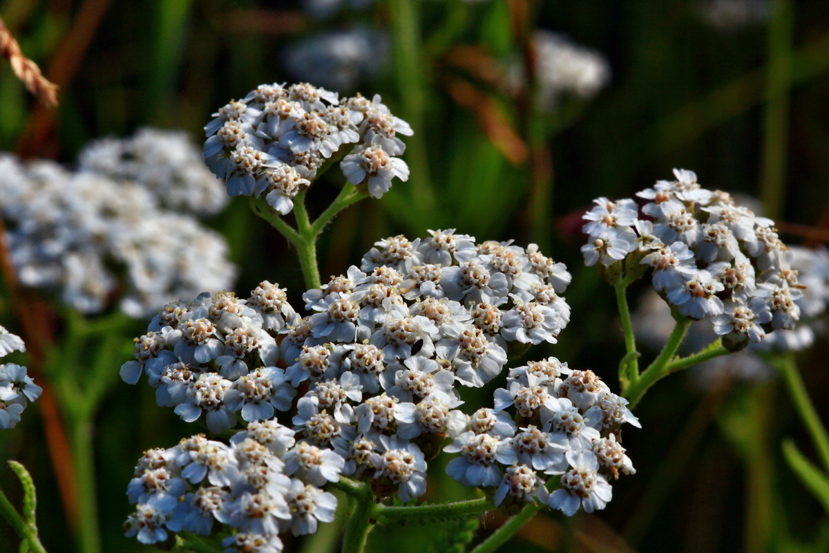 2013_07_02_00026056p_Bildgr��e �ndern