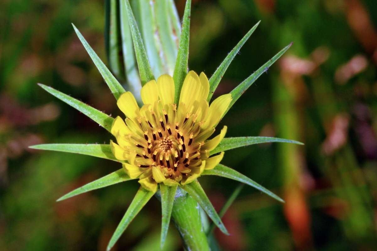 2013_07_02_00026066p_Bildgr��e �ndern