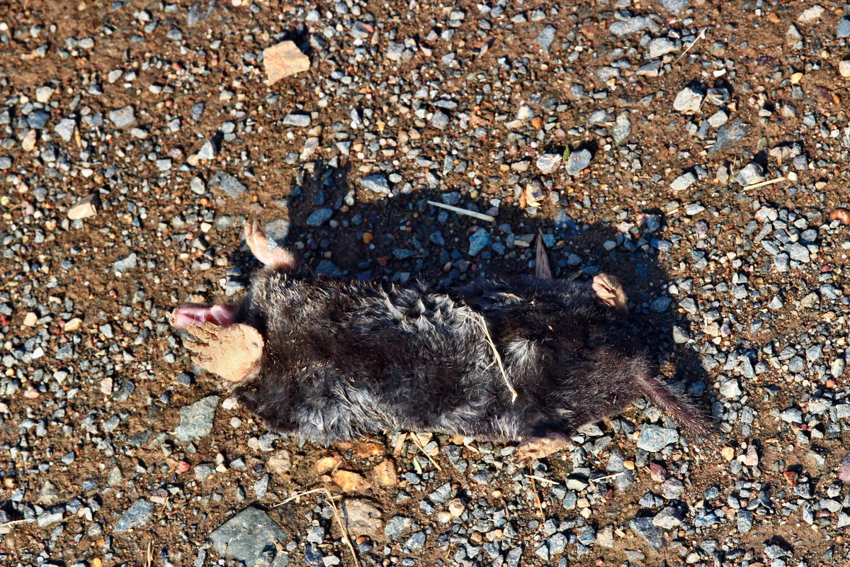 2013_07_02_00026074p_Bildgr��e �ndern