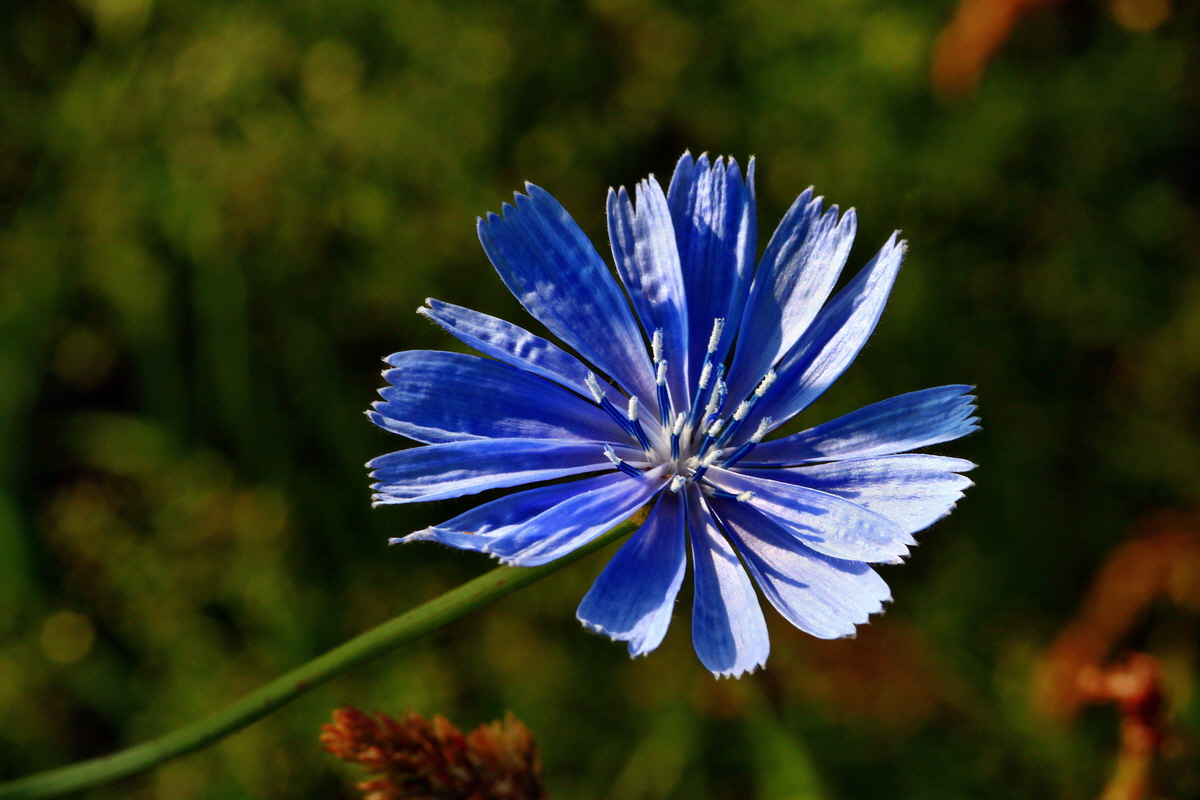 2013_07_02_00026077p_Bildgr��e �ndern