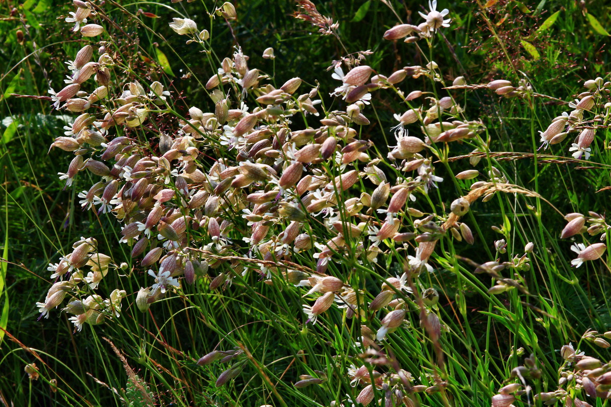 2013_07_02_00026095p_Bildgr��e �ndern